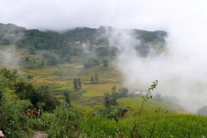 Uitzicht rijstterassen in Yuangyuang met wolk